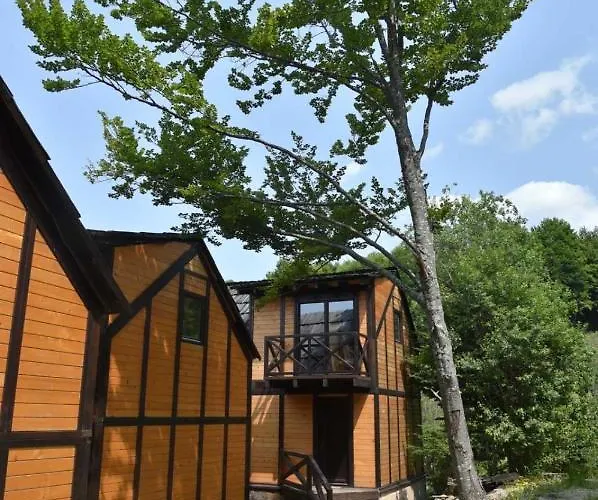 Prive And 别墅 科帕奥尼克